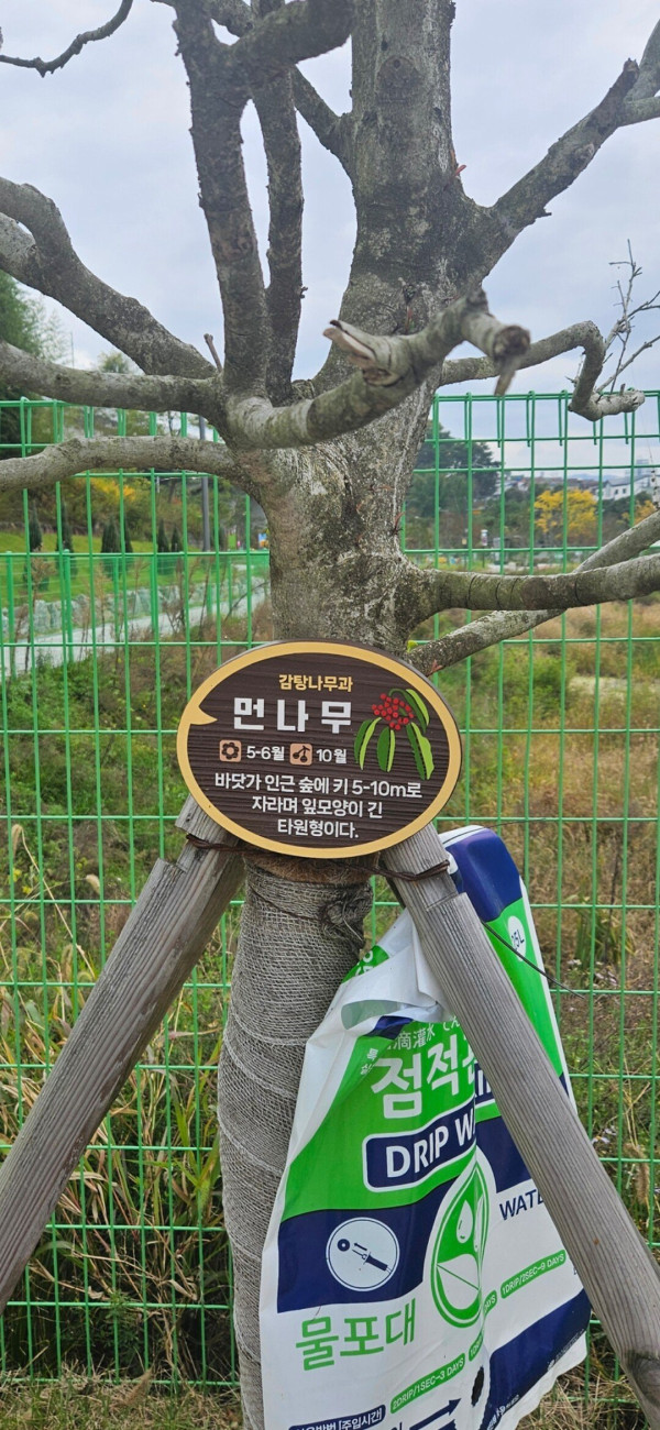 나무이름 시도 개그!!