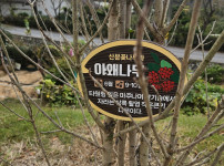 나무이름 시도 개그!!