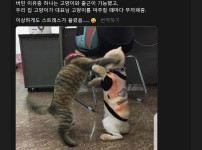 직장에서 5년 버틸수 있었던 이유