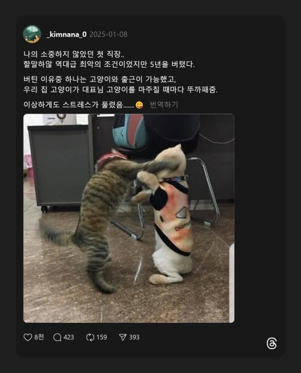 직장에서 5년 버틸수 있었던 이유