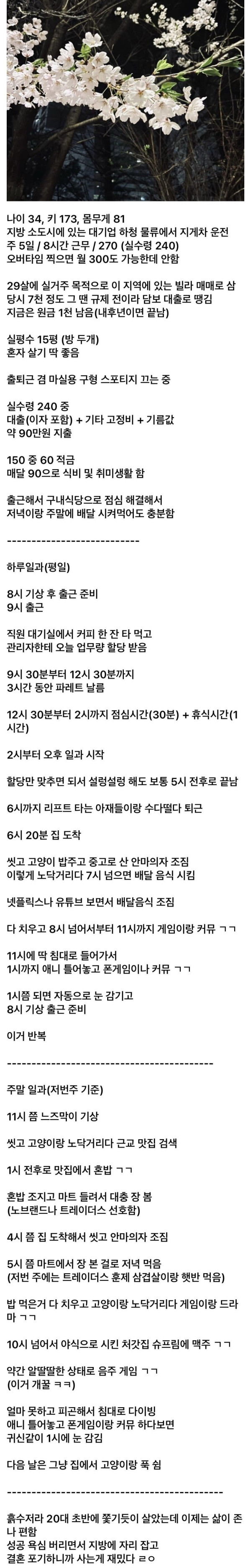 결혼을 포기했다는 30대 디시인의 삶