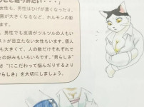 사람의 음란한 그림이 금지된 일본 교과서 근황