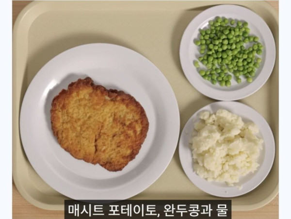 충격적인 최근 독일 급식 수준 ㄷㄷ