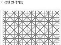 우리 뇌가 멍청한 증거