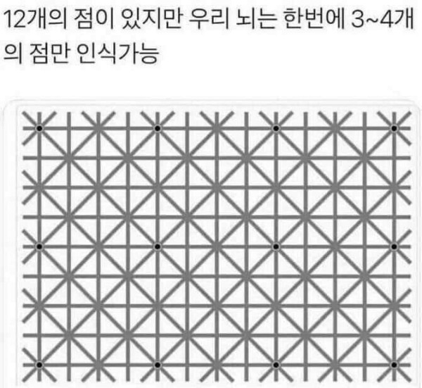 우리 뇌가 멍청한 증거