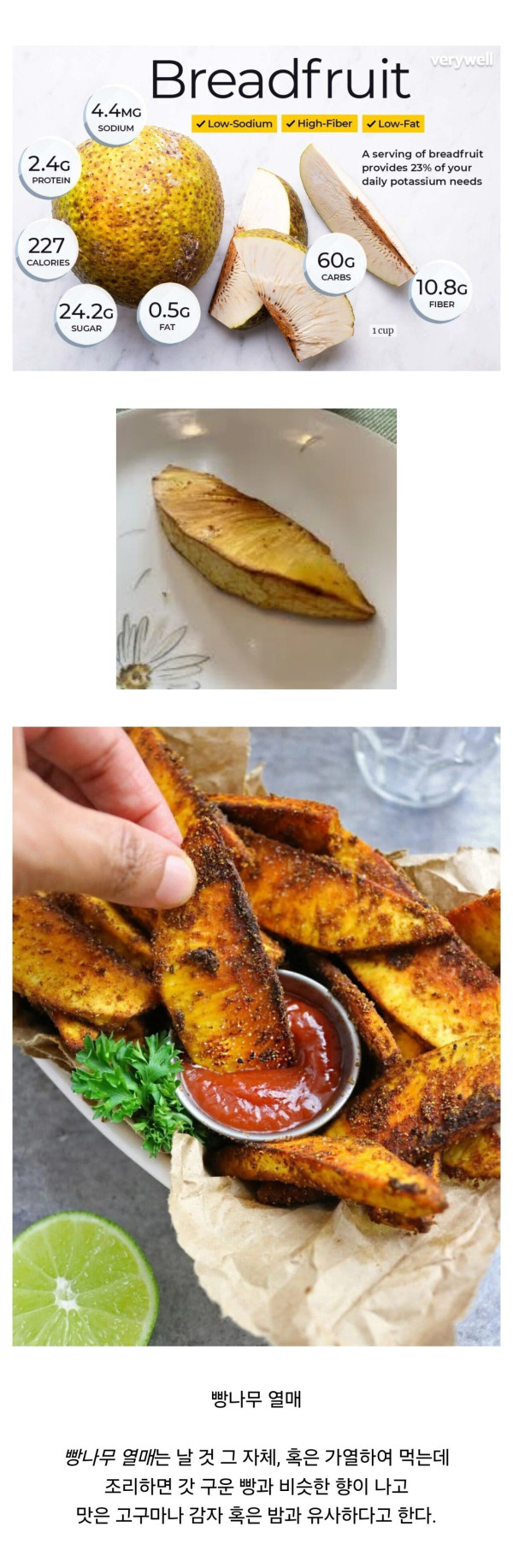 빵 맛이 난다는 열매 ㄷㄷㄷㄷㄷㄷㄷㄷㄷ