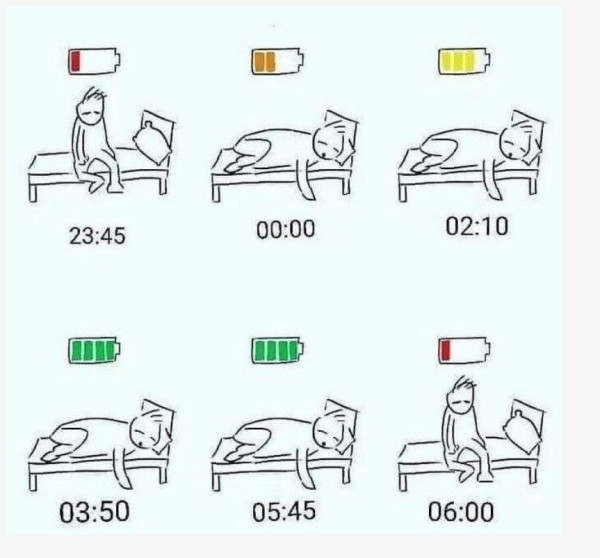 잘 때 몸이 회복하는 신비한 과정 ㄷㄷ