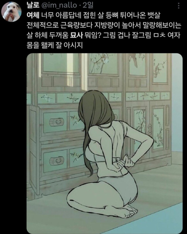 트위터에서 감탄중인 웹툰의 여체 묘사