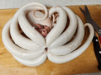 각종 커뮤니티에서 호평받은 해산물 세척 3대장