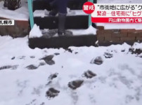 일본 삿포로 주택가 근황