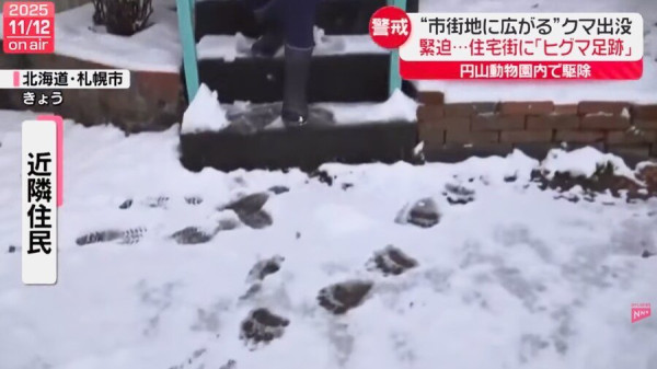 일본 삿포로 주택가 근황