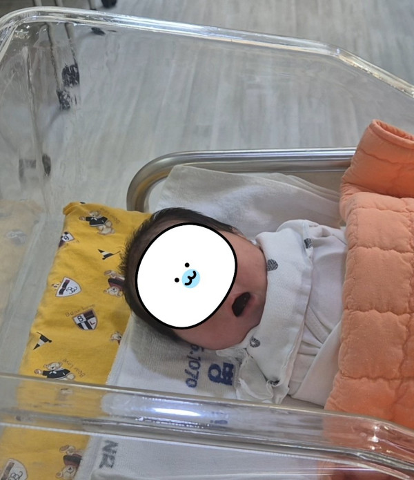 애국추 부탁드려도 될까요?