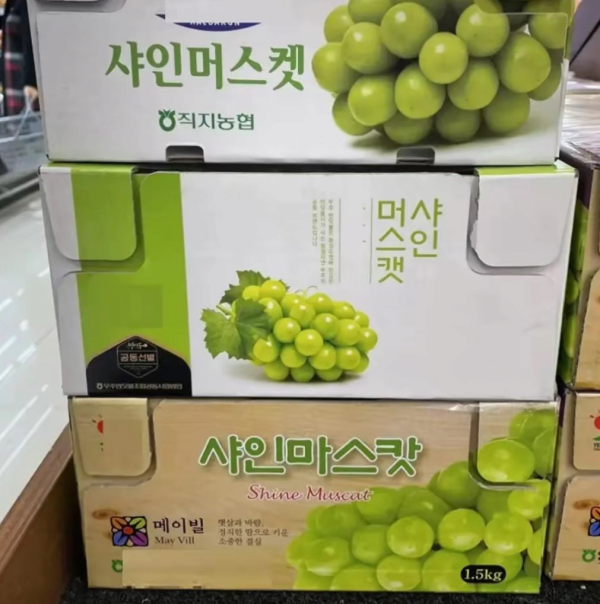 은근 이름 통일이 안 되고 있는 과일 ㄷㄷㄷㄷㄷㄷㄷㄷㄷㄷㄷㄷㄷ